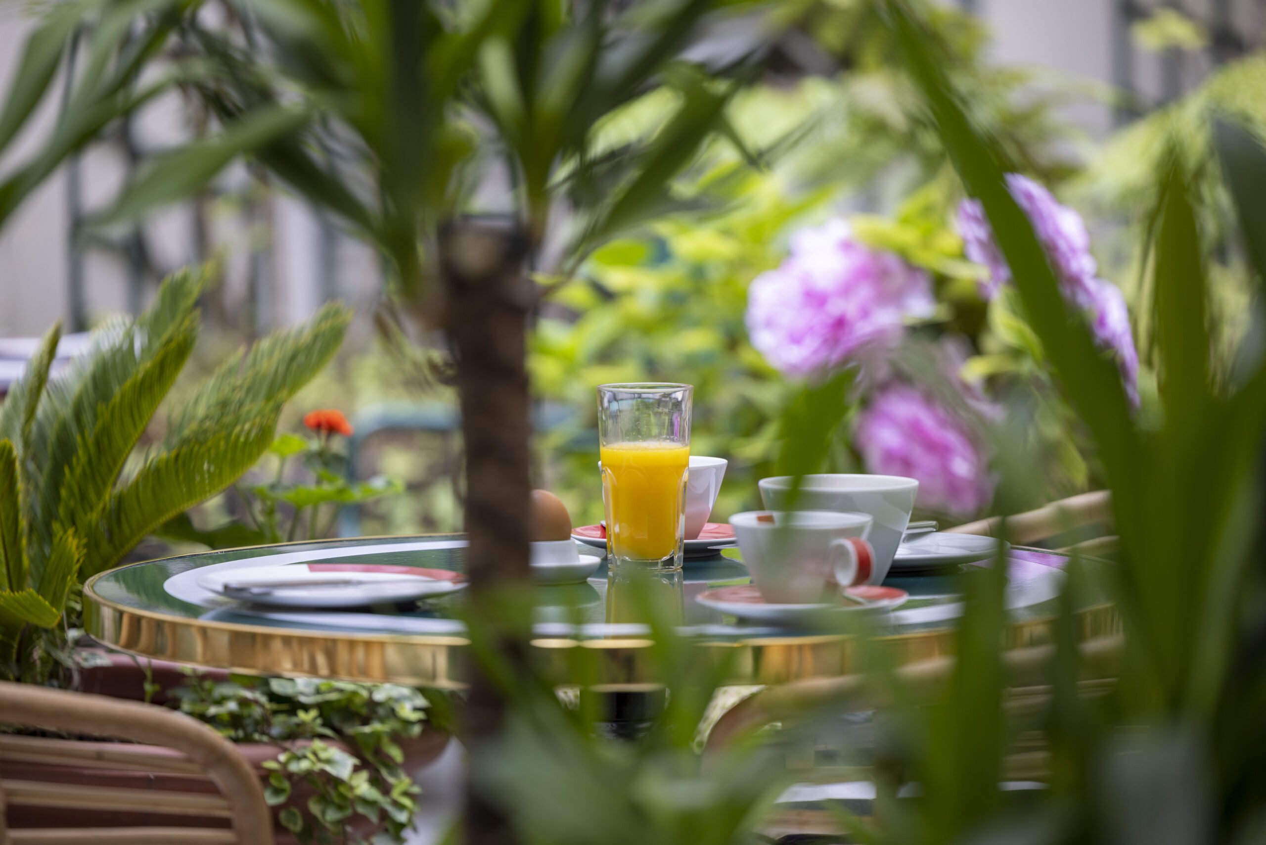 16A3406 hotel la perle saint germain md scaled